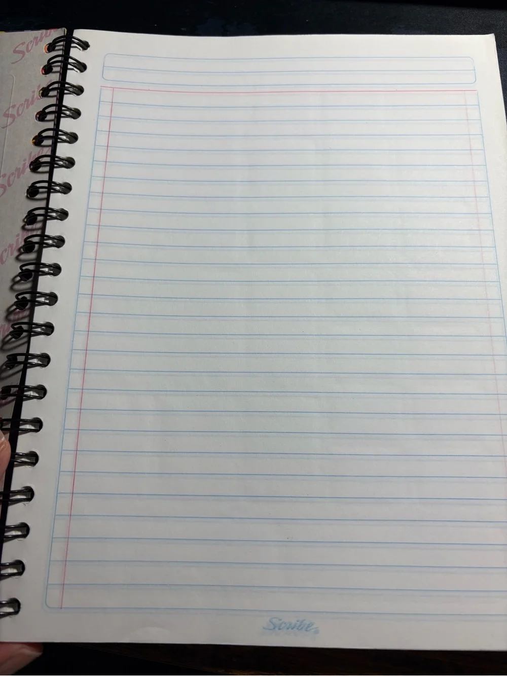 Scribe Notebook San Juditas